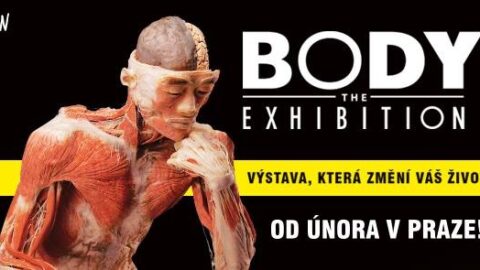 The Body Exhibition