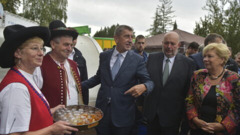 Premiér Andrej Babiš a ministr zemědělství Miroslav Toman na agrosalonu Země živitelka v Českých Budějovicích.