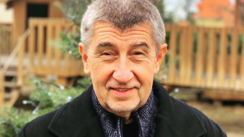 Ten, co zařídí vše - Andrej Babiš.