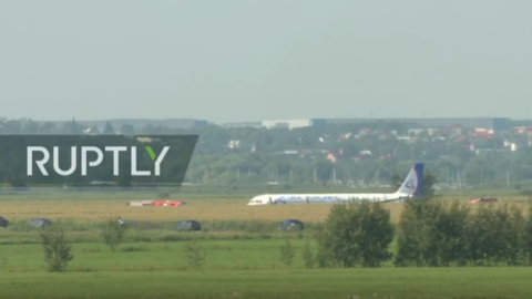 Airbus uralských aerolinií v kukuřici u Moskvy 