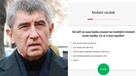 Andrej Babiš, dotazník hnutí ANO