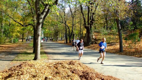 Park Stromovka