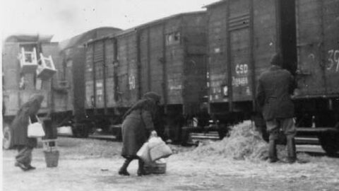 Maďaři přesídlení z města Gúta (dnes Kolárovo) na nádraží v Mladé Boleslavi (1947)