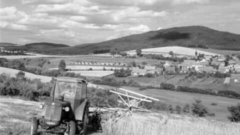 Žně pod Blaníkem v srpnu 1962 – traktorista Karel Žížala z JZD Louňovice dokončuje sečení žita