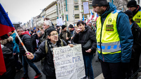 Demonstrace údajných vlastenců.