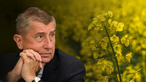 Andrej Babiš (ANO)