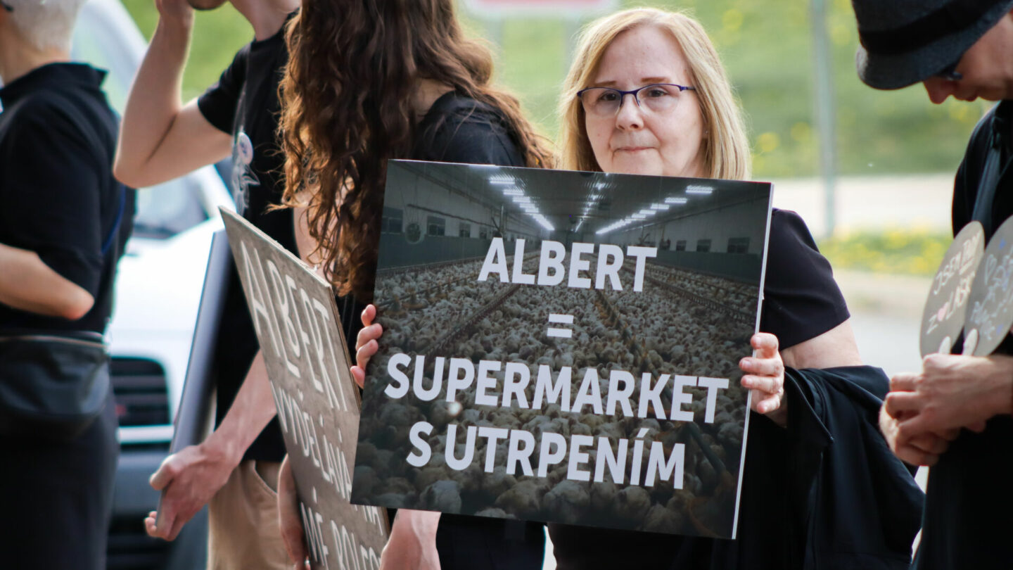 Dubnový protest Obránců zvířat před centrálou Albertu