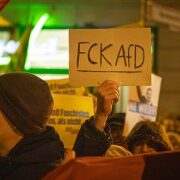 Demonstrace proti radikálně pravicové a populistické straně Německa AfD