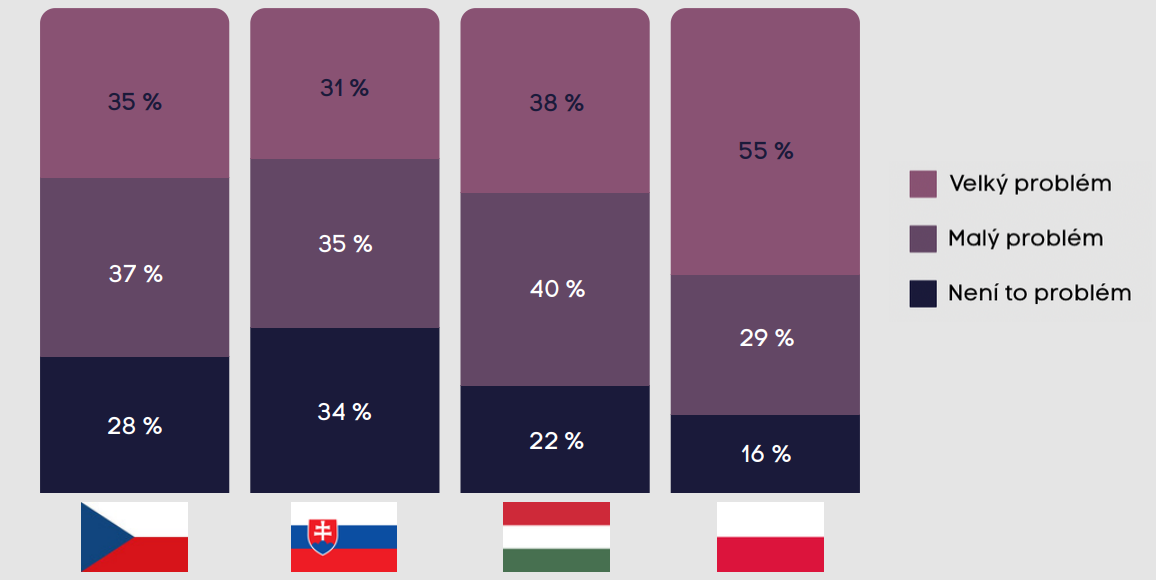 Pokusy cizích států ovlivnit evropské volby vnímá více než třetina obyvatel jako velký problém.