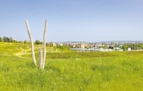 Krajina díky architektce Evě Wagnerová opět získala rozmanitost, jakou měla před nástupem kolektivizace v padesátých letech minulého století. Důležitou roli sehrálo město jako investor, jenž provedl výkupy několika drobných pozemků tak, 
aby úpravy měly širší dopad
