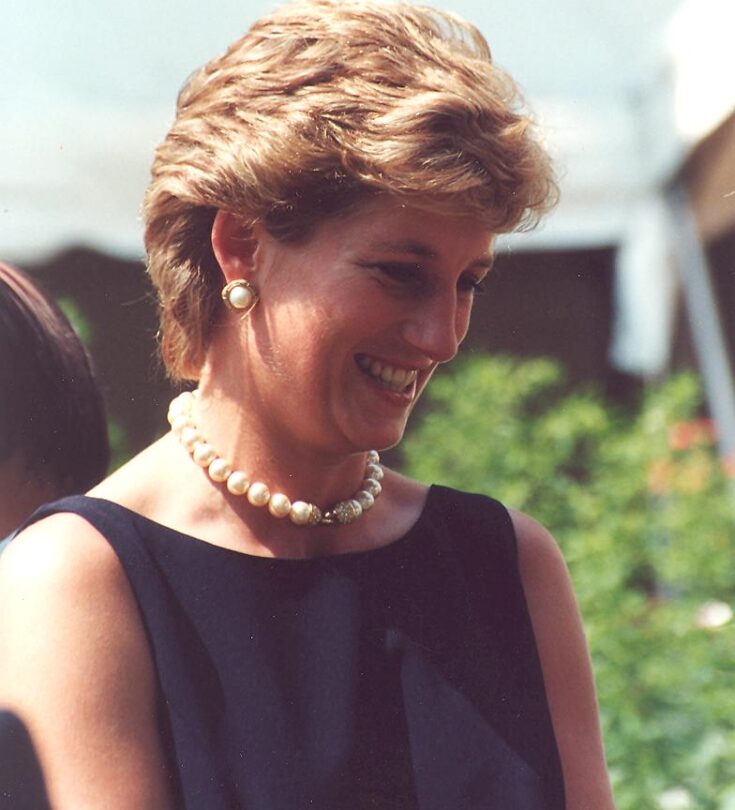 Princezna Diana na snímku z roku 1995, dva roky před svou tragickou smrtí.