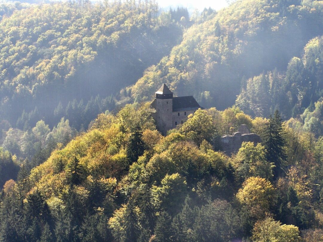 Zřícenina hradu Litice na zalesněném návrší nad obcí Litice nad Orlicí, poblíž města Žamberka. 