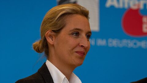 Spolupředsedkyně AfD  Alice Weidelová